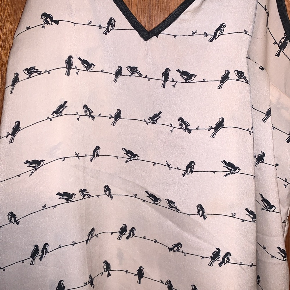 Flowy bird tank - Picture 2 of 6